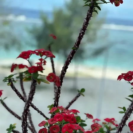 Lazzlla Beach Front Apartments Hulhumale Exterior photo